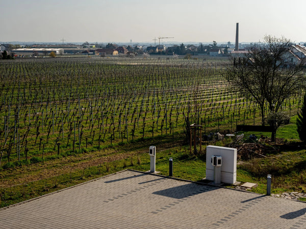 Ruhiger Ausblick auf Weinberge und natürliche Umgebung in der Nähe des Therapiezentrum Möller.
