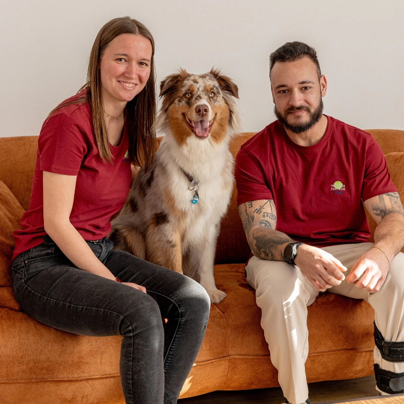 Ergotherapeutin mit Patient und Therapiehund im Rahmen der tiergestützten Therapie im Therapiezentrum Möller