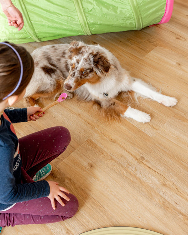 Therapiehund begleitet eine tiergestützte ergotherapeutische Behandlung und unterstützt die Therapie auf spielerische Weise