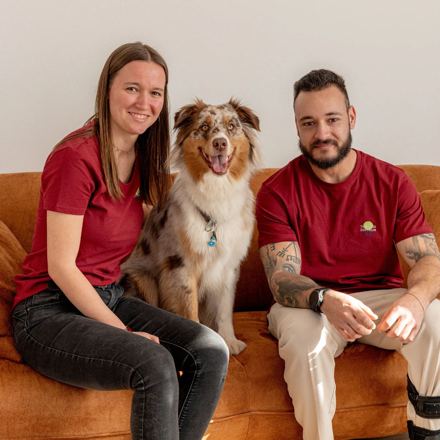 Zwei Mitarbeitende des Therapiezentrum Möller sitzen gemeinsam mit einem Therapiehund in ruhiger und freundlicher Atmosphäre in einem modernen therapeutischen Umfeld.